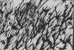 11- estilo michaux- expresionismo abstracto